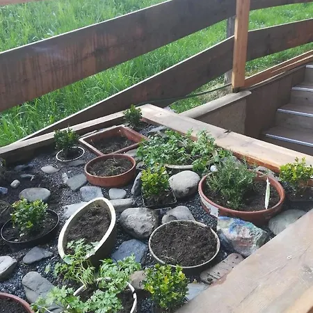 Ferienwohnung Fur 6 Personen Ca 60 M In Jochberg, Tirol Skigebiet Kitzski Appartement *